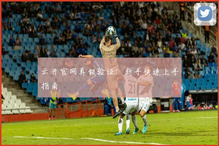 云开官网真假验证：新手快速上手指南