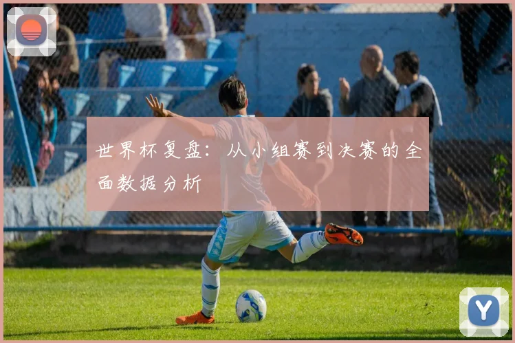 世界杯复盘：从小组赛到决赛的全面数据分析